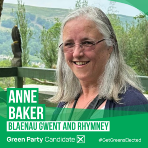 Anne Baker, Blaenau Gwent and Rhymney Green Party Candidate #GetGReensElected