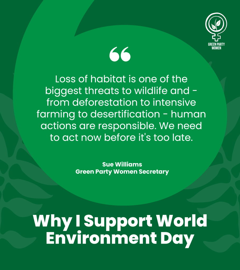 Green Party Women
Why I support World Environment Day
Loss of habitat is one of the biggest threats to wildlife and - from deforestation to intensive farming to desertification - human actions are responsible. We need to act now before it's too late.
Sue Williams
Green Party Women 
#ForWomenAndPlanet