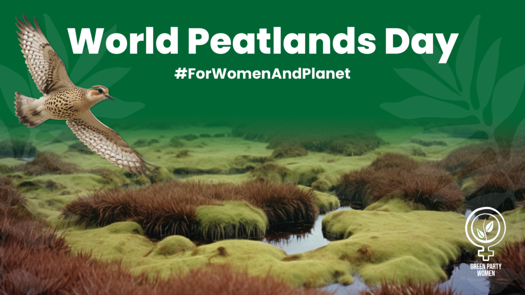 Photo of a Derbyshire peatland and a Golden plover in flight.
World Peatlands Day
#ForWomenAndPlanet
Green Party Women
