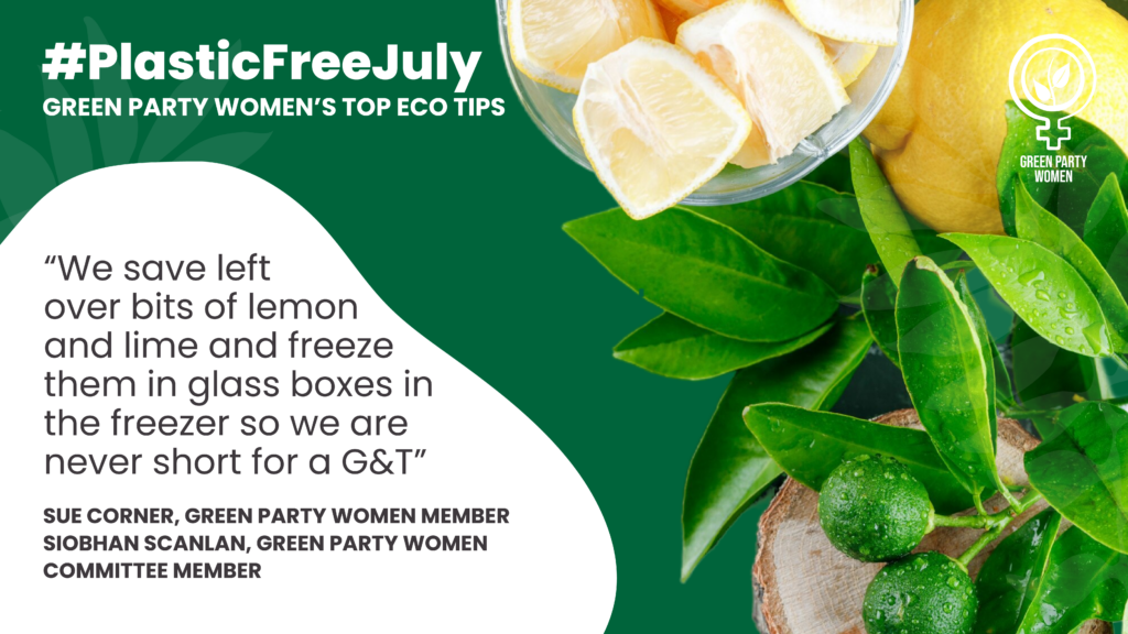 #PlasticFreeJuly GREEN PARTY WOMEN'S TOP ECO TIPS “We save left over bits of lemon and lime and freeze them in glass boxes in the freezer so we are never short for a G&T” SUE CORNER, GREEN PARTY WOMEN MEMBER SIOBHAN SCANLAN, GREEN PARTY WOMEN COMMITTEE MEMBER